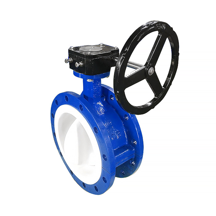 concentric butterfly valve 02