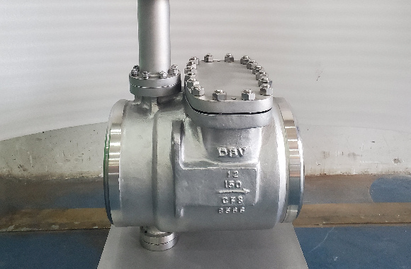 a silvery valve of dombor
