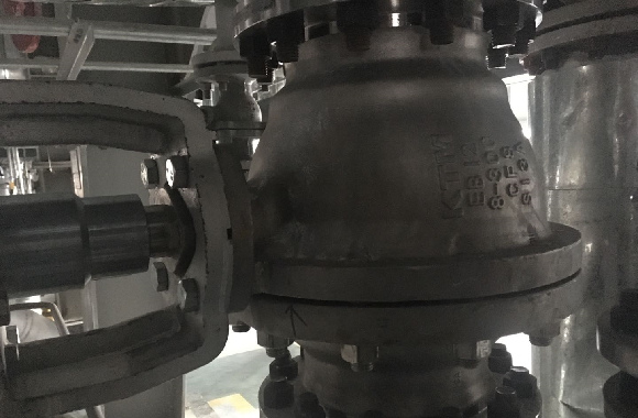 black component of a valve
