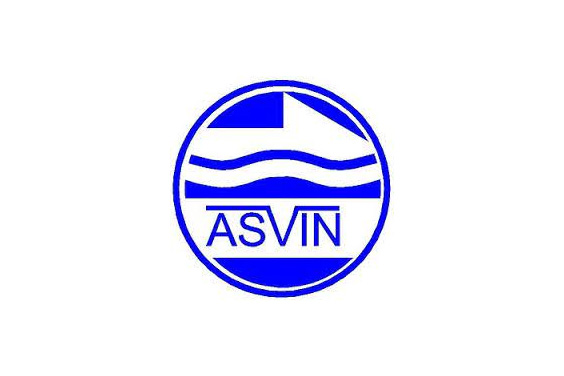 Asian Valves Logo