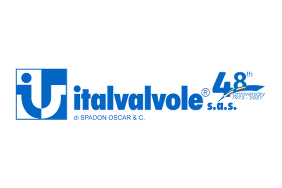 Italvalvole logo